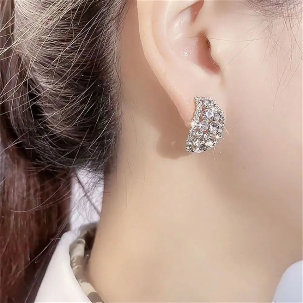 Diamonds Hoop Earrings